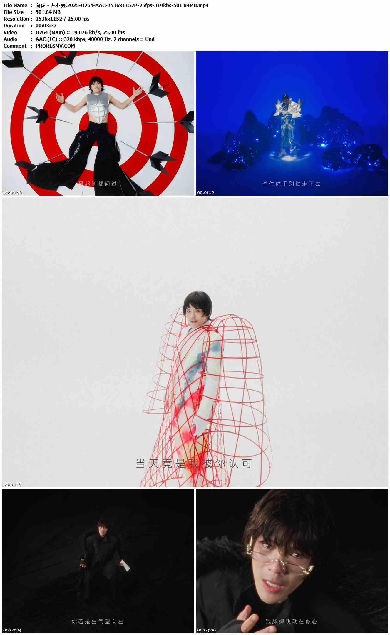 向佐 - 左心房.2025-H264-AAC-1536x1152P-25fps-319kbs-501.84MB官方MV_高清MV